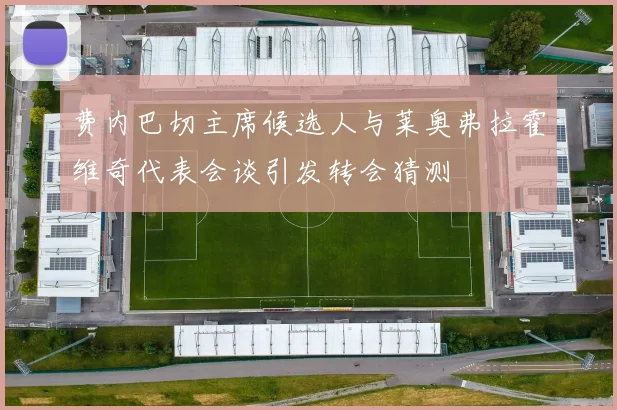 费内巴切主席候选人与莱奥弗拉霍维奇代表会谈引发转会猜测